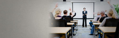 Optimize the Mentoring Program to Build a High-Performing Learning Organization
