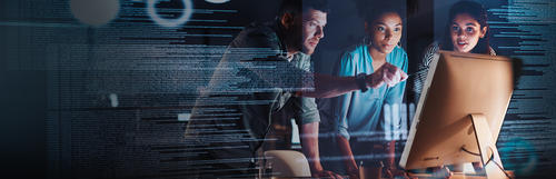 Governance and Management of Enterprise Software Implementation