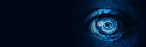 Build a Security Metrics Program to Drive Maturity