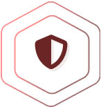 Risk Mitigation