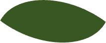 A dark green leaf, connecting this list to all of the dark green leaves in the tree diagram.