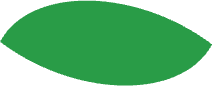 A bright green leaf, connecting this list to all of the bright green leaves in the tree diagram.